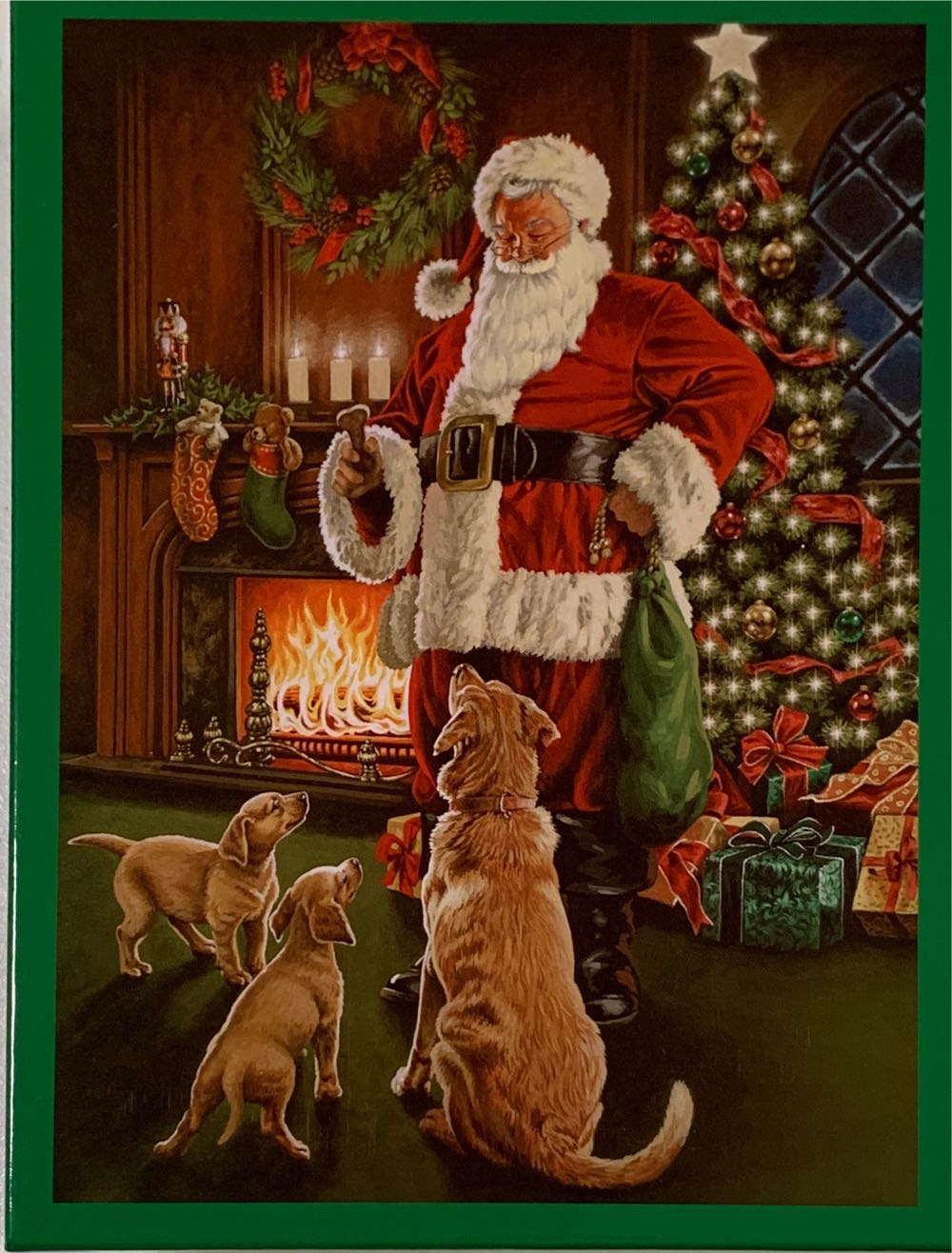 Broad-tailed Hummingbird