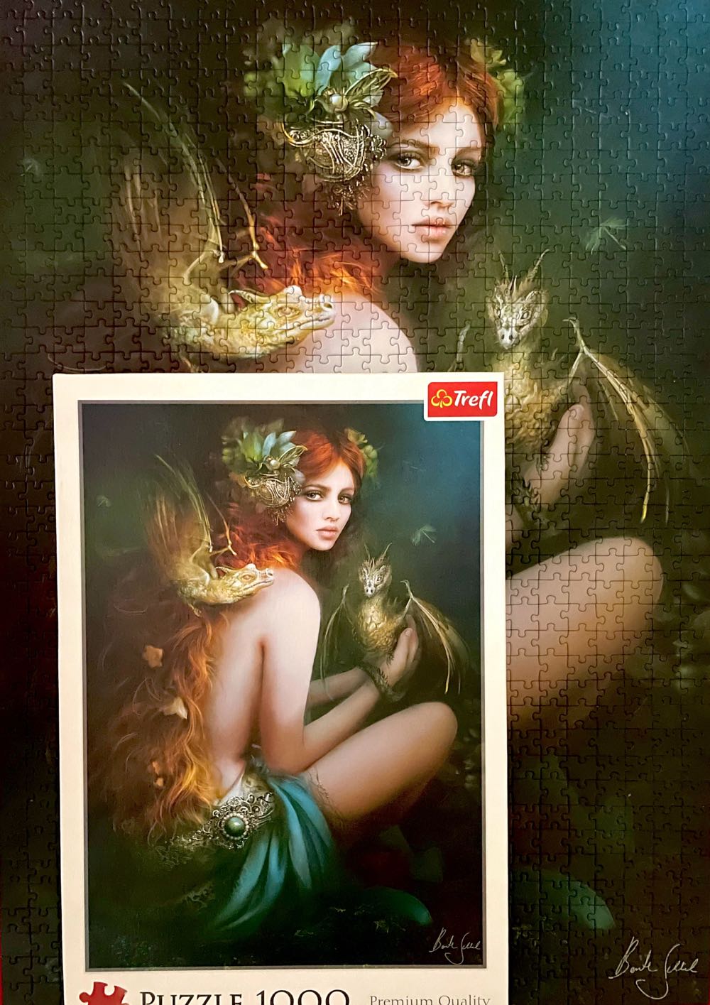 Dragons’ Friend - Trefl 🇵🇱 puzzle collectible [Barcode 5900511105926] - Main Image 2