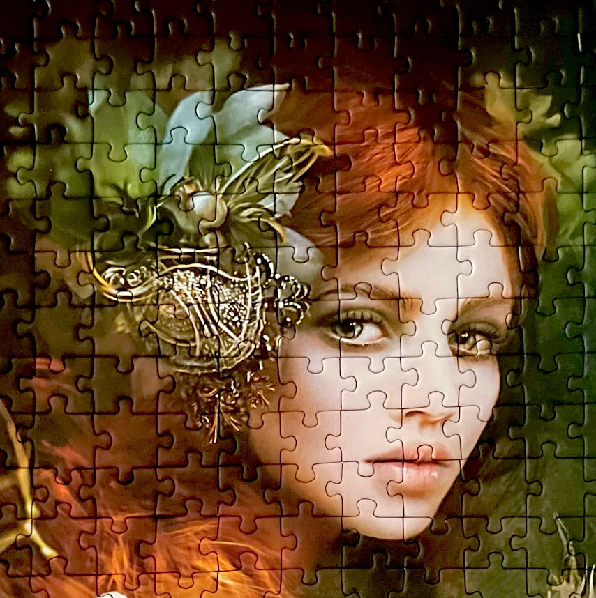 Dragons’ Friend - Trefl 🇵🇱 puzzle collectible [Barcode 5900511105926] - Main Image 4