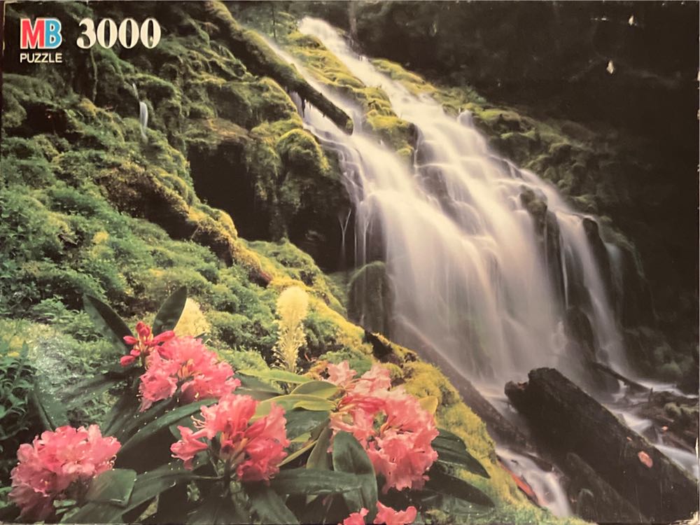 St. Augustine’s Parade