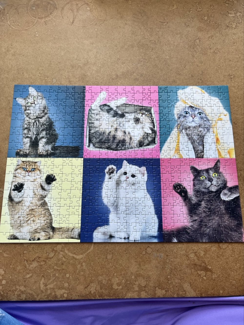 Kittens - Trefl puzzle collectible [Barcode 5900511373776] - Main Image 2