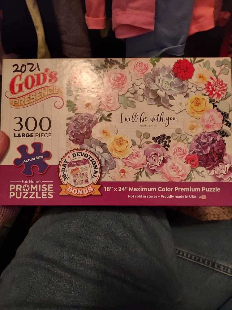 Wasgij Mystery 12 De Onverwachte Verdachten