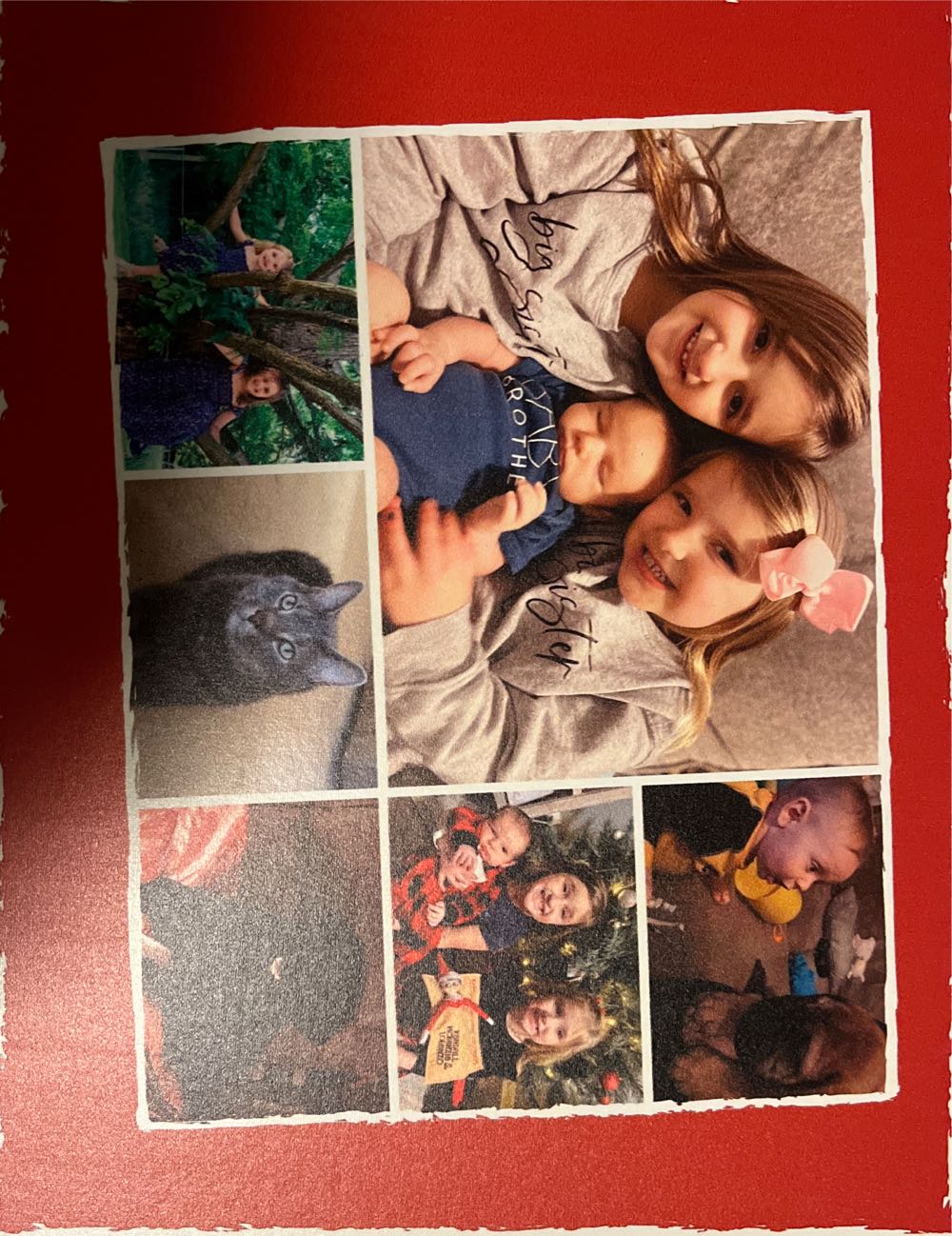 Winter Red Birds Shop Bins