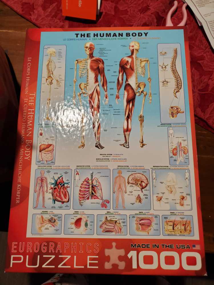 The Human Body - Eurographics puzzle collectible [Barcode 628136610001] - Main Image 2
