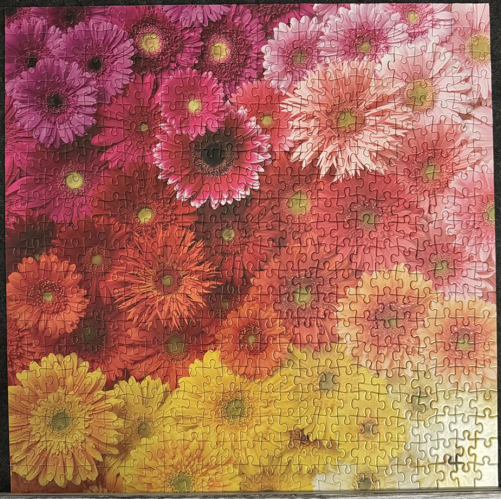 Donated Daisies - Good Puzzle Company puzzle collectible [Barcode 765145122559] - Main Image 2