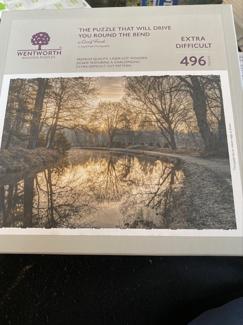 Wild Majestic Macaws