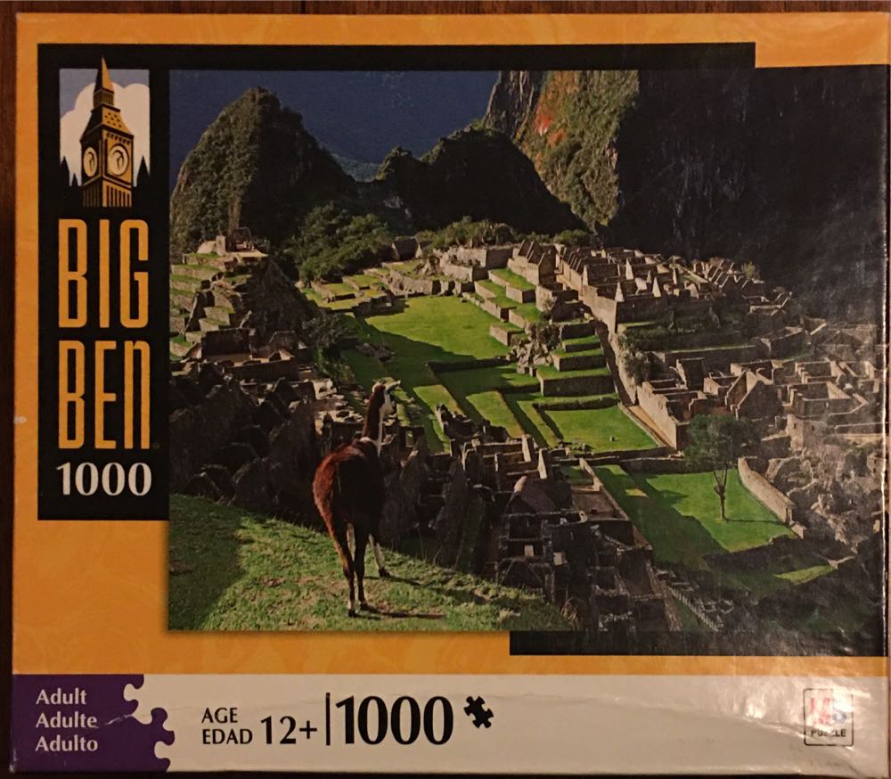 Fluffy Kittens With Flowers