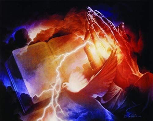 Cats Edition 🆕🚪