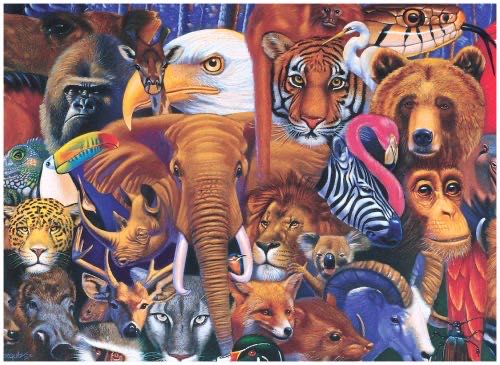 Moana’s Adventures