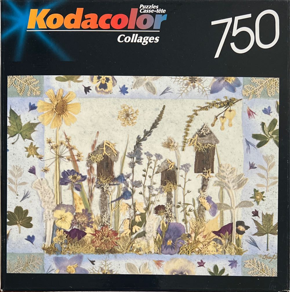 Decisions, Decisions