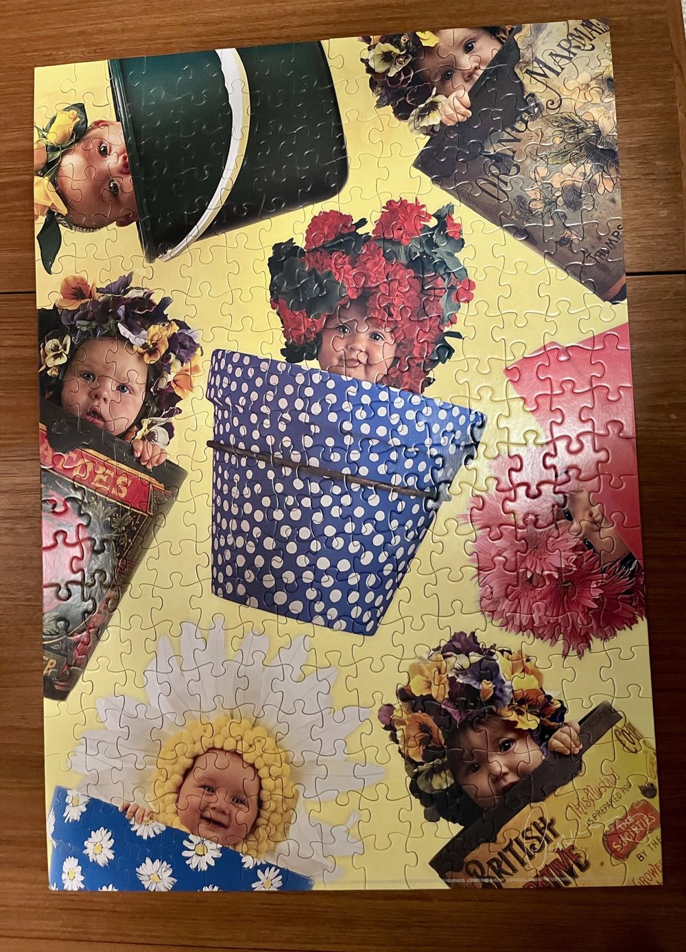 Garden Pots - Bcg puzzle collectible - Main Image 2