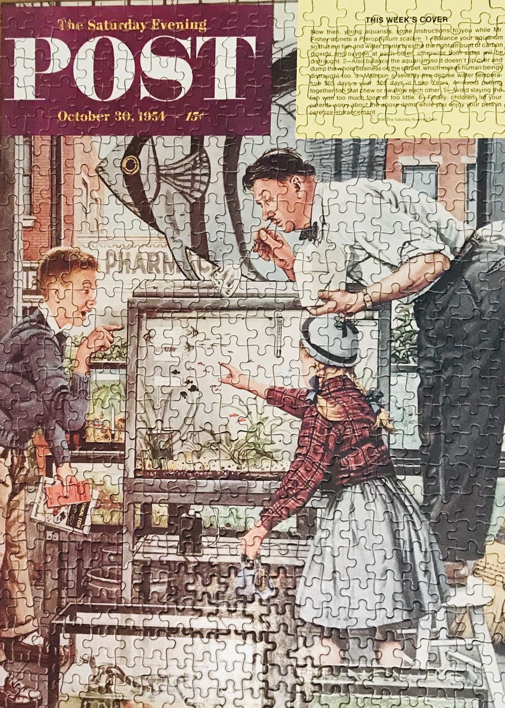 Pokemon Birthday Party