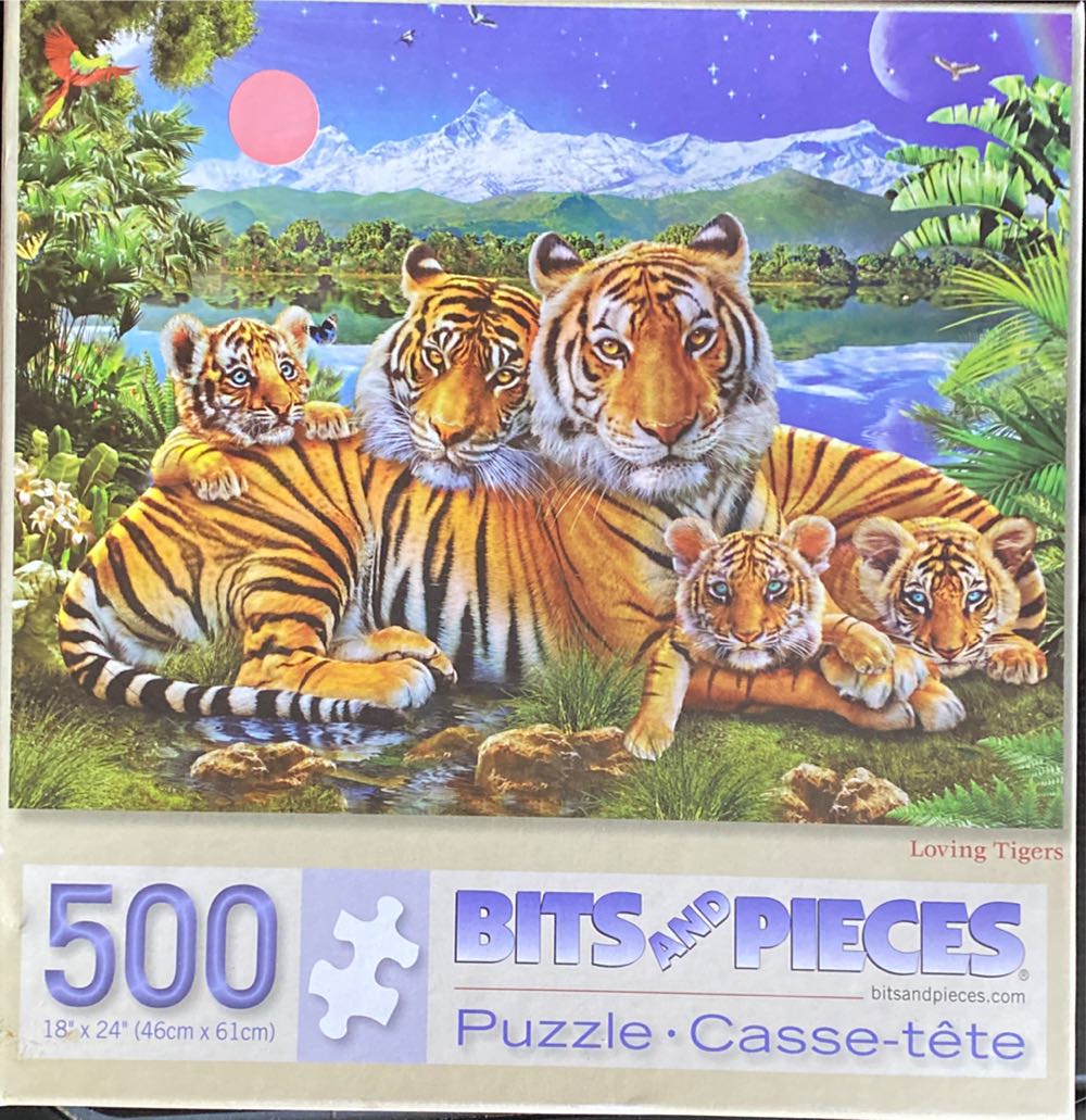 Time Travels Tijdreizende Fee