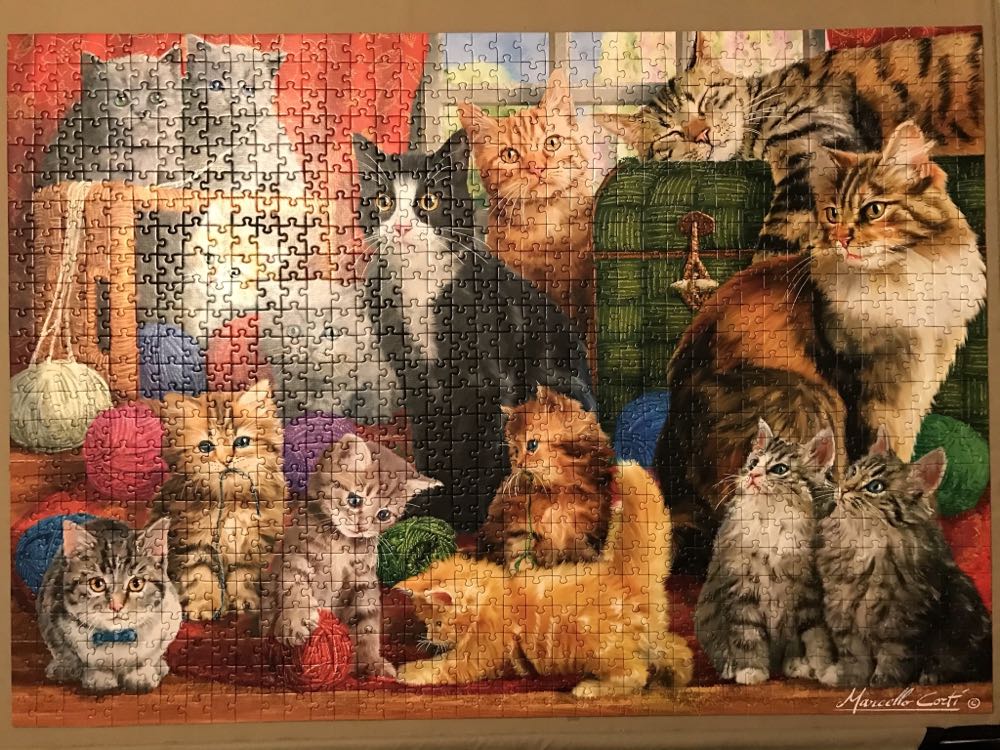 Feline meeting - Trefl puzzle collectible [Barcode 5900511105551] - Main Image 2