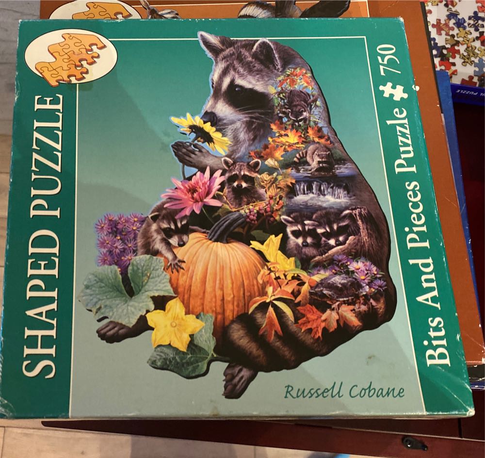 Bridges Of San Francisco