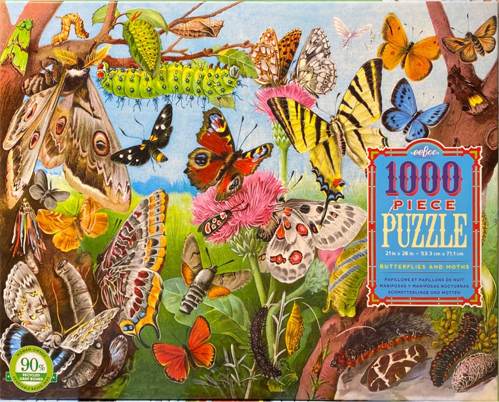 Butterflies & Moths - Eeboo puzzle collectible [Barcode 689196508400] - Main Image 2