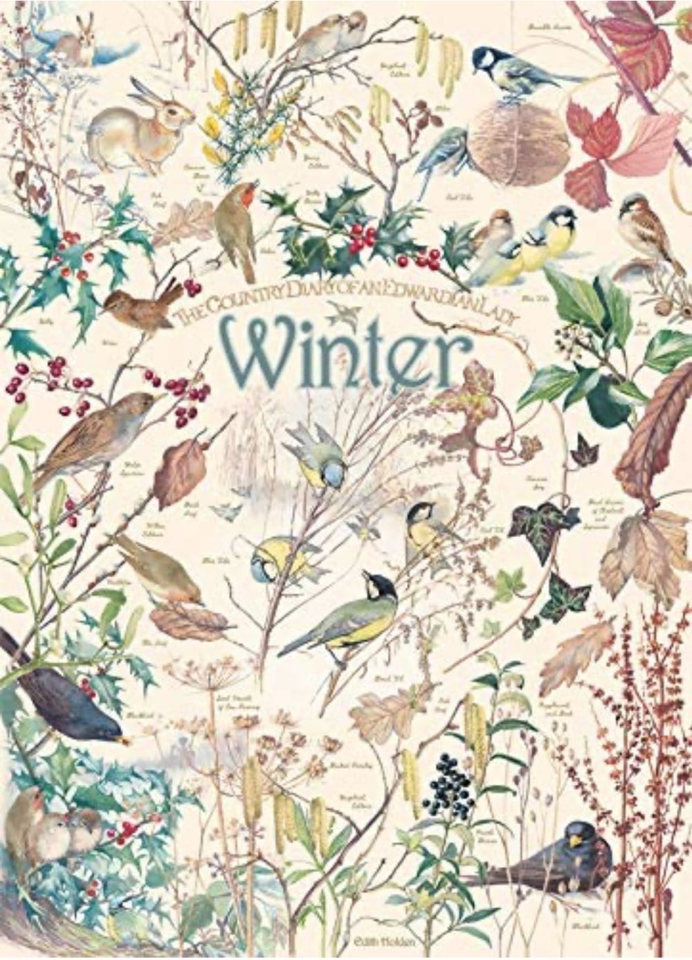 Dog Days - Bike Basket Bulldog