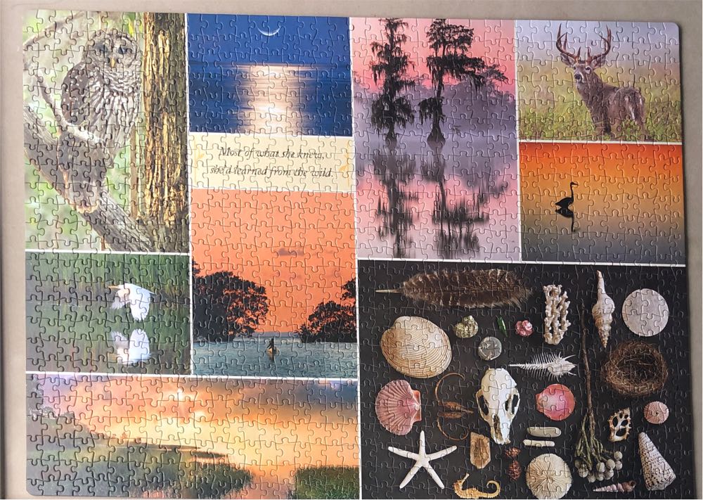 Where The Crawdads Sing - Workman Puzzle puzzle collectible [Barcode 9781523515158] - Main Image 2