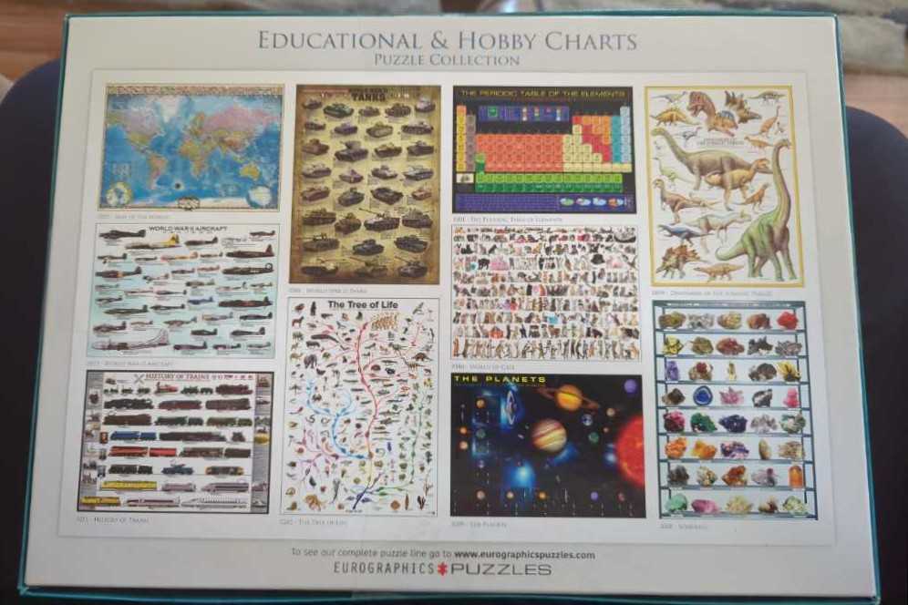 American State Birds - EuroGraphics puzzle collectible [Barcode 628136653275] - Main Image 2