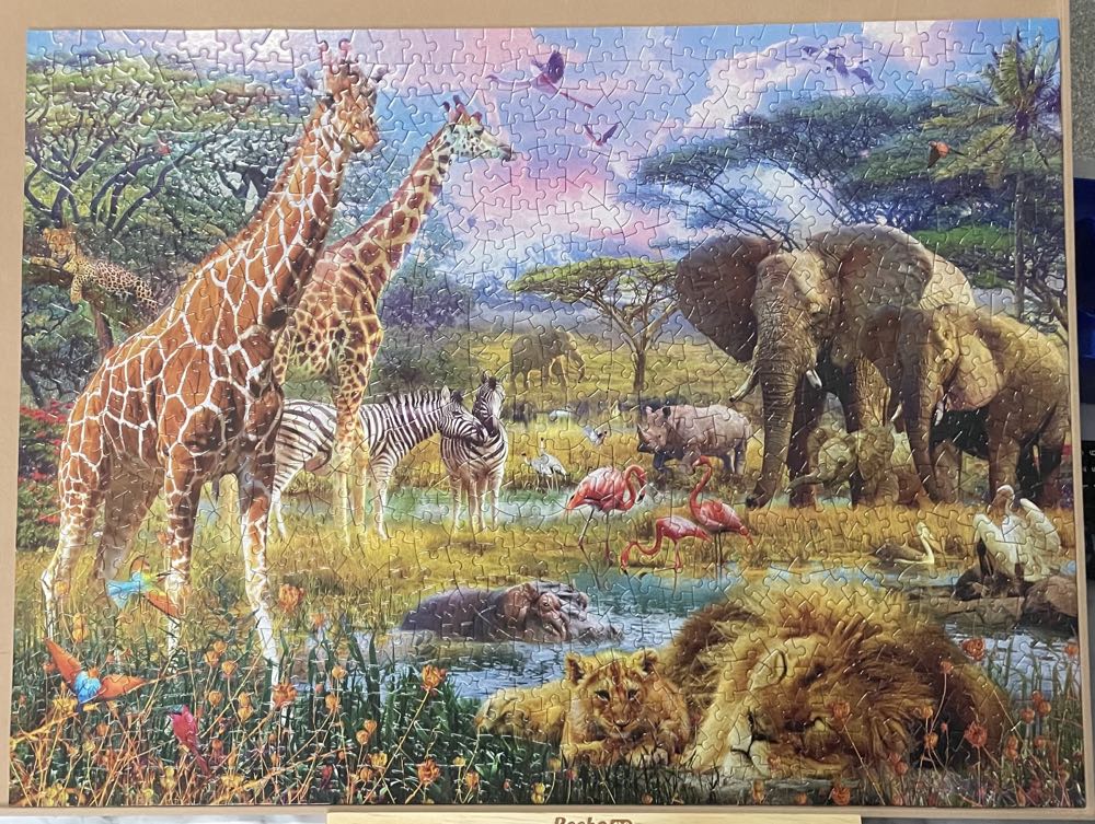 Savannah Animals Newton - Bits And Pieces puzzle collectible [Barcode 192949010971] - Main Image 2