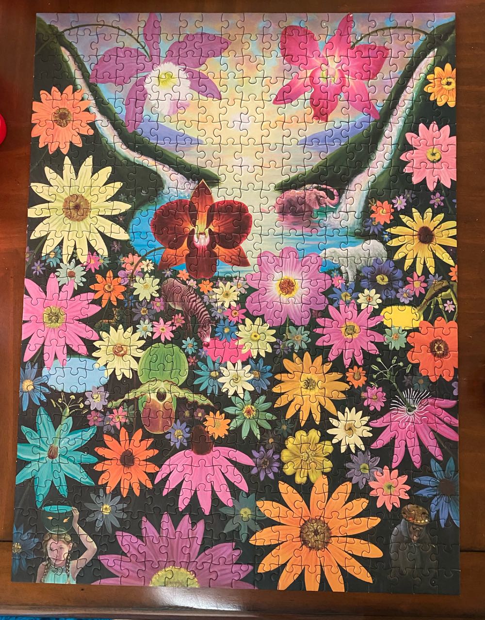 Rainbow Falls - Pomegranate puzzle collectible [Barcode 9781087503295] - Main Image 3