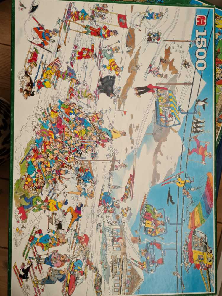 Treasure Bay and Volute Shell Medley