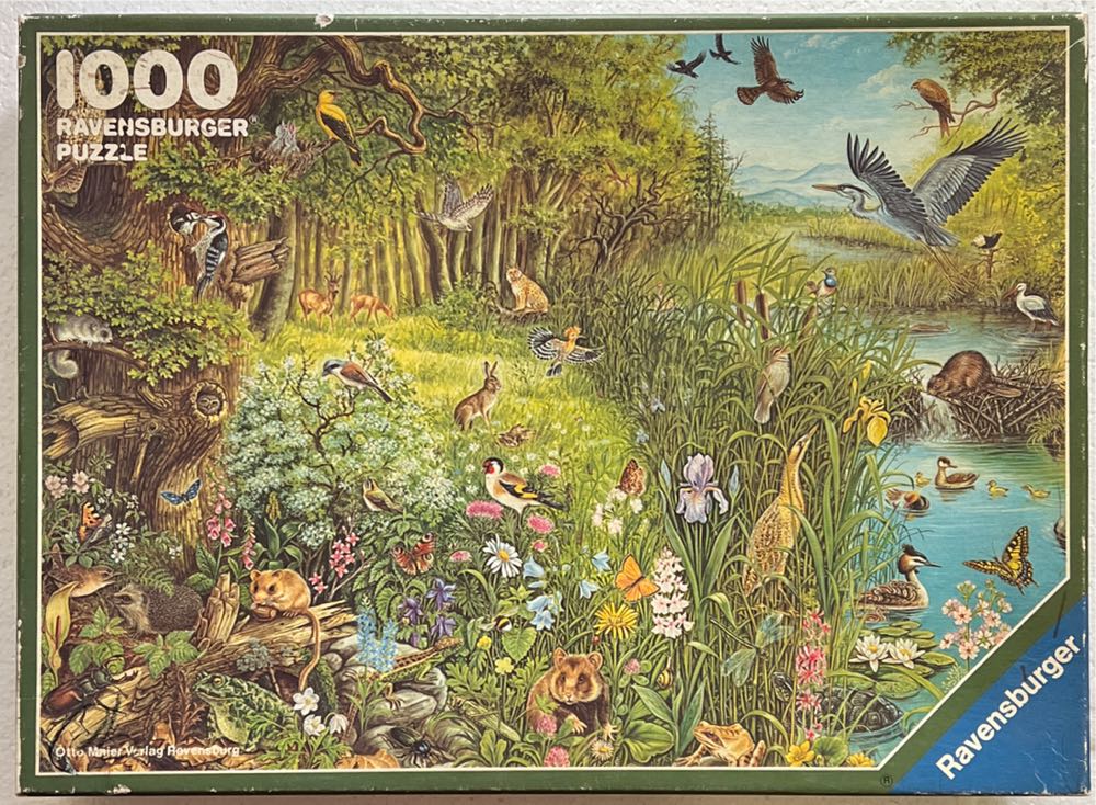 George Guzzi: Barne a, Lake Como