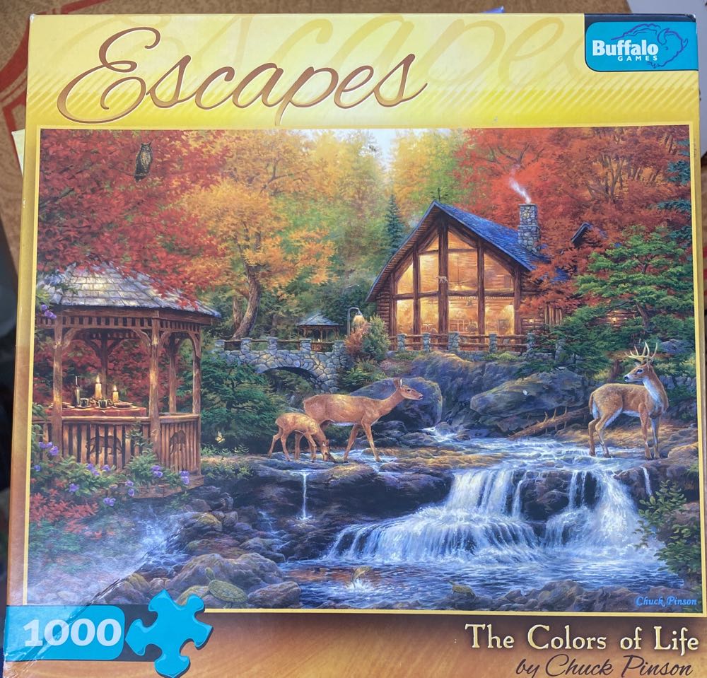 Shark Mania (Expert 1)