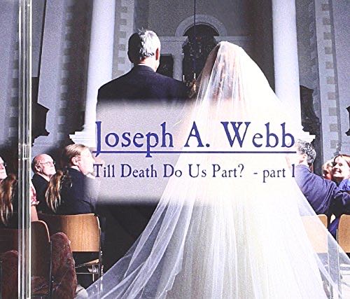 Kitten In A Fish Tank