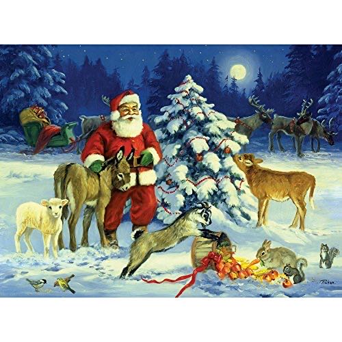 Cats And Yarn In House