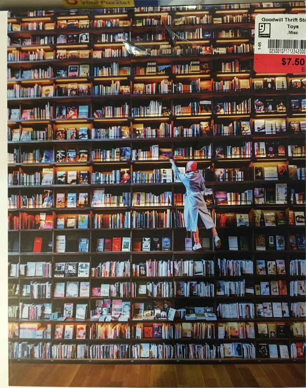 Land Of The Dinosaurs