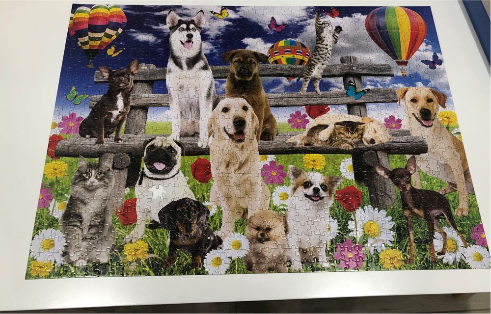Paws Party In The Park *M1 *T/S - Page Publications puzzle collectible [Barcode 9781648331015] - Main Image 2