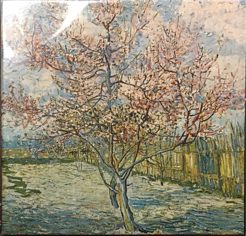 Mickey Mouse Revue ✅