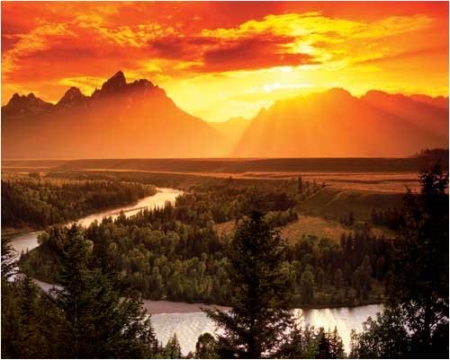 New York Times Square