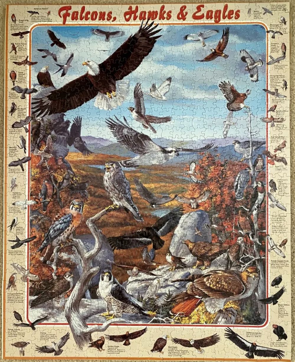 Falcons, Hawks & Eagles - White Mountain Puzzles puzzle collectible [Barcode 724819249497] - Main Image 3