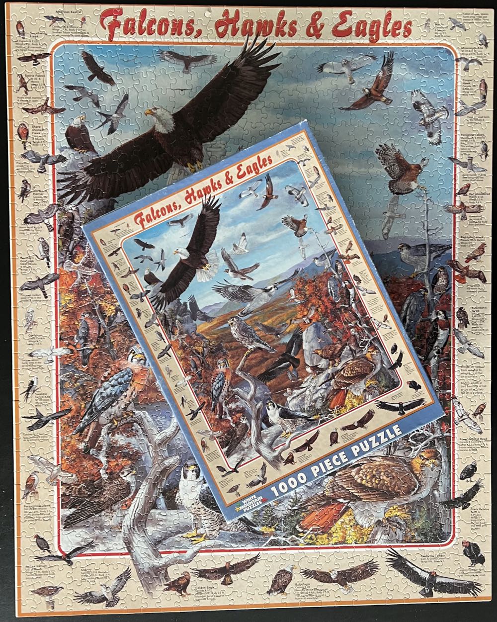 Falcons, Hawks & Eagles - White Mountain Puzzles puzzle collectible [Barcode 724819249497] - Main Image 4