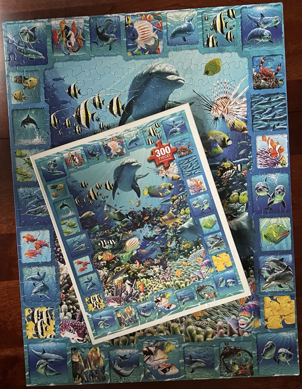 Dolphin Kingdom*- 547, 1/26/24 - White Mountain puzzle collectible [Barcode 724819256181] - Main Image 4