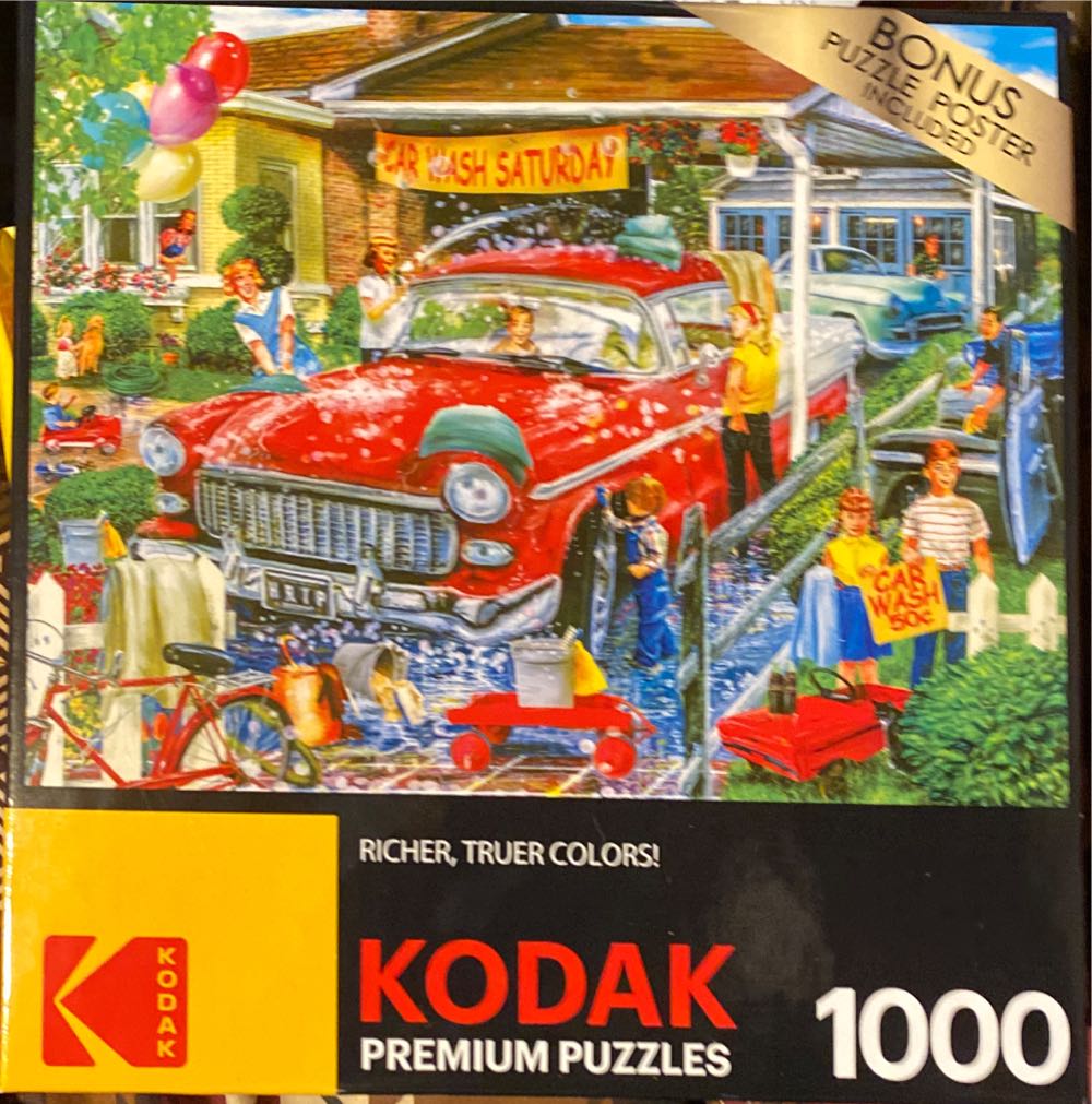 Cobble Hill Piece Puzzle The Nineteenth Amendment Sample Poster Included