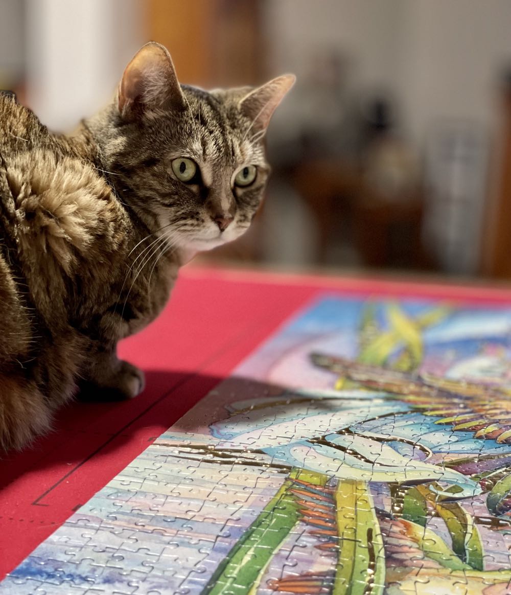 Amid Hummers - Clementoni 🇮🇹 puzzle collectible [Barcode 8005125307883] - Main Image 4