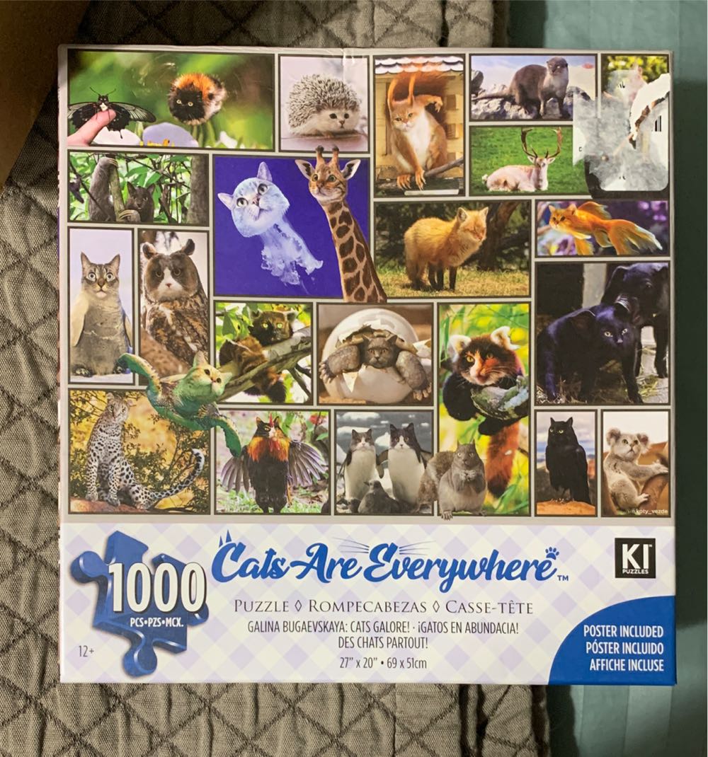 Riverside Home in Bloom