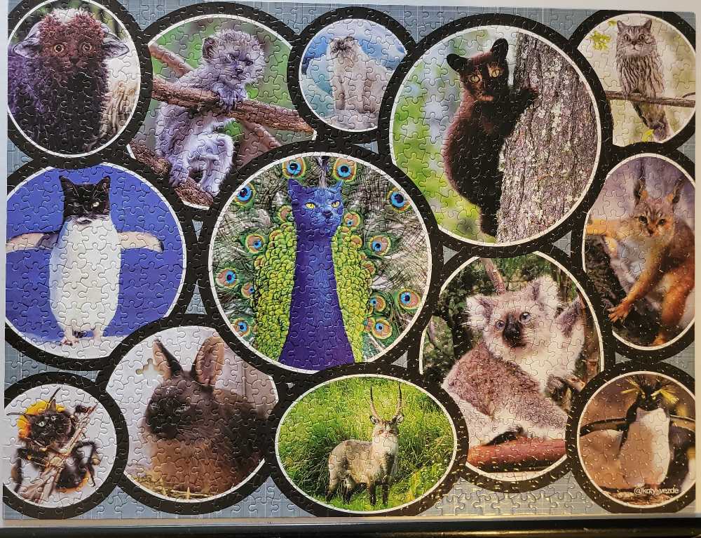 Cats Are Everywhere - KI Puzzles puzzle collectible [Barcode 773392026278] - Main Image 3