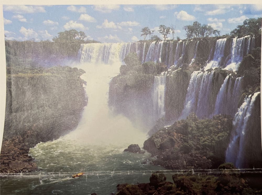 Still Life With Flowers 