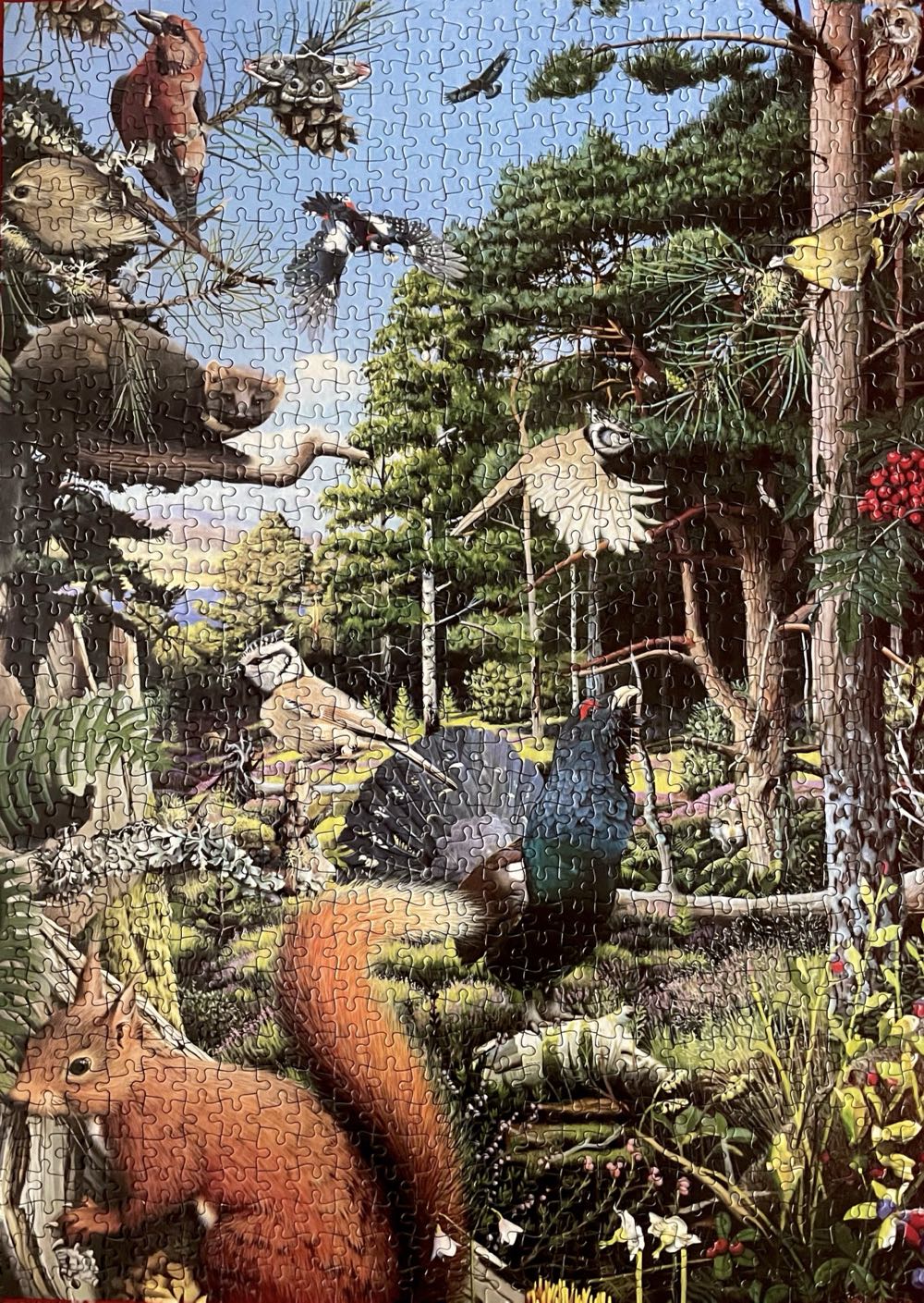 Pinewood Collection - Animal Awareness 🇬🇧 puzzle collectible [Barcode 700131222561] - Main Image 2