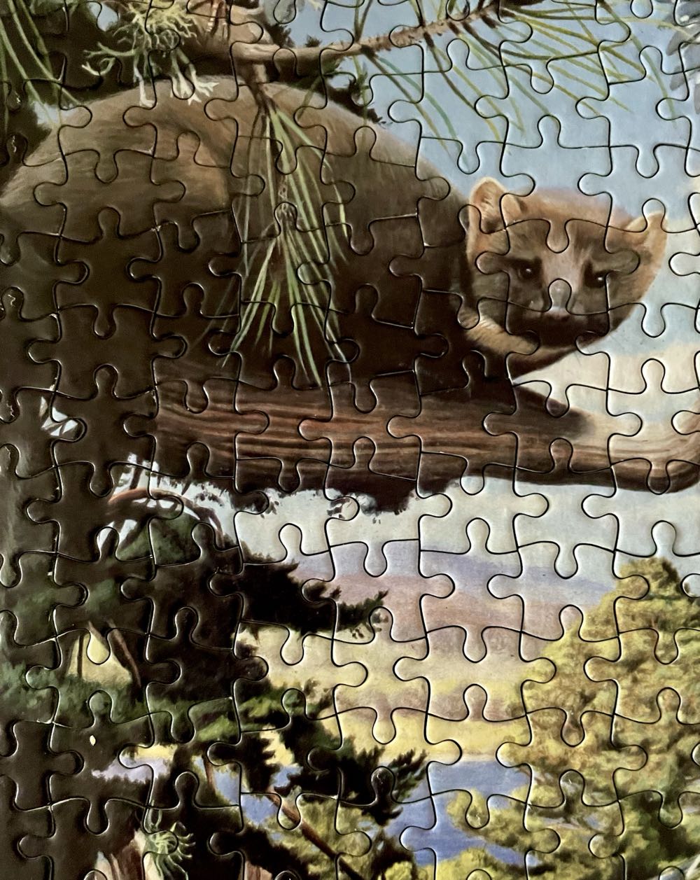 Pinewood Collection - Animal Awareness 🇬🇧 puzzle collectible [Barcode 700131222561] - Main Image 3