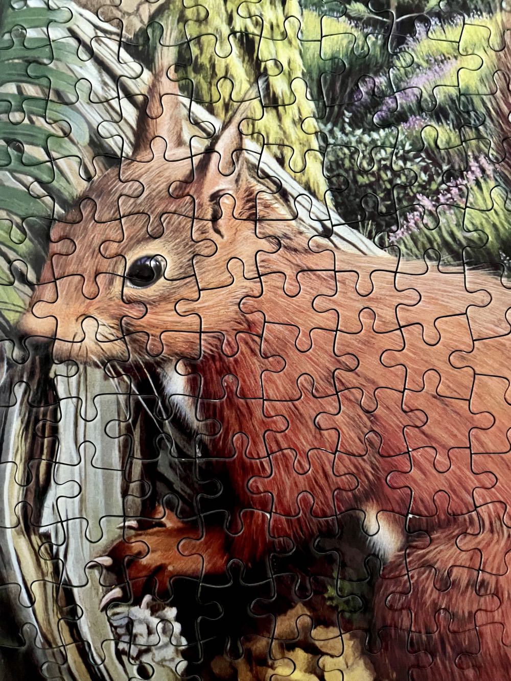 Pinewood Collection - Animal Awareness 🇬🇧 puzzle collectible [Barcode 700131222561] - Main Image 4