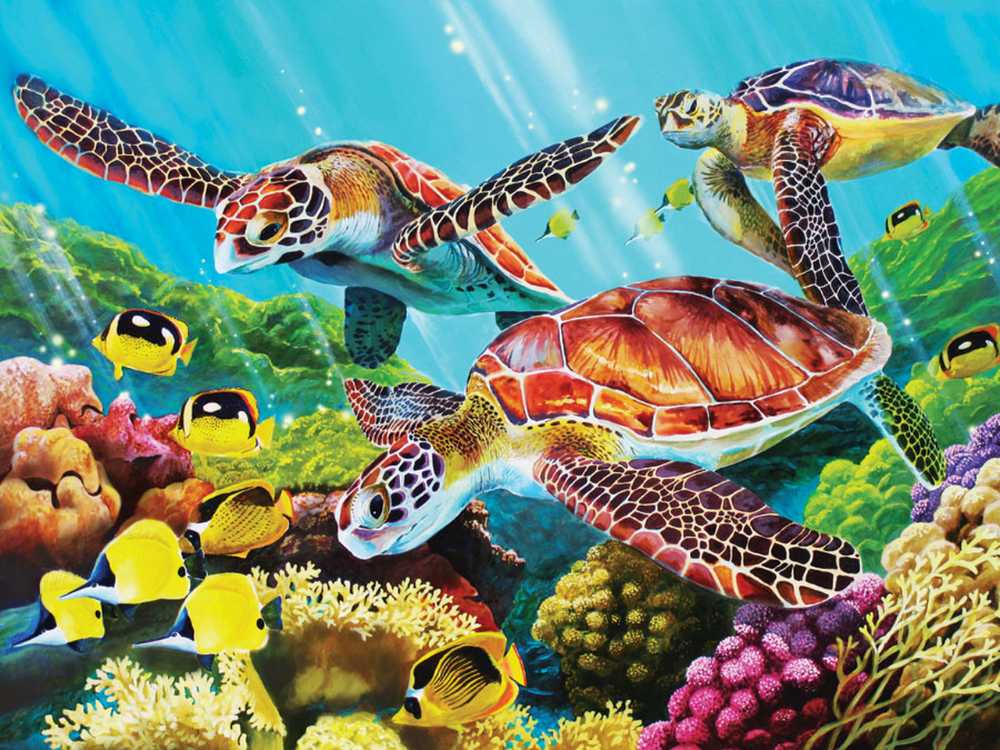 Star Wars - The Saga Continues