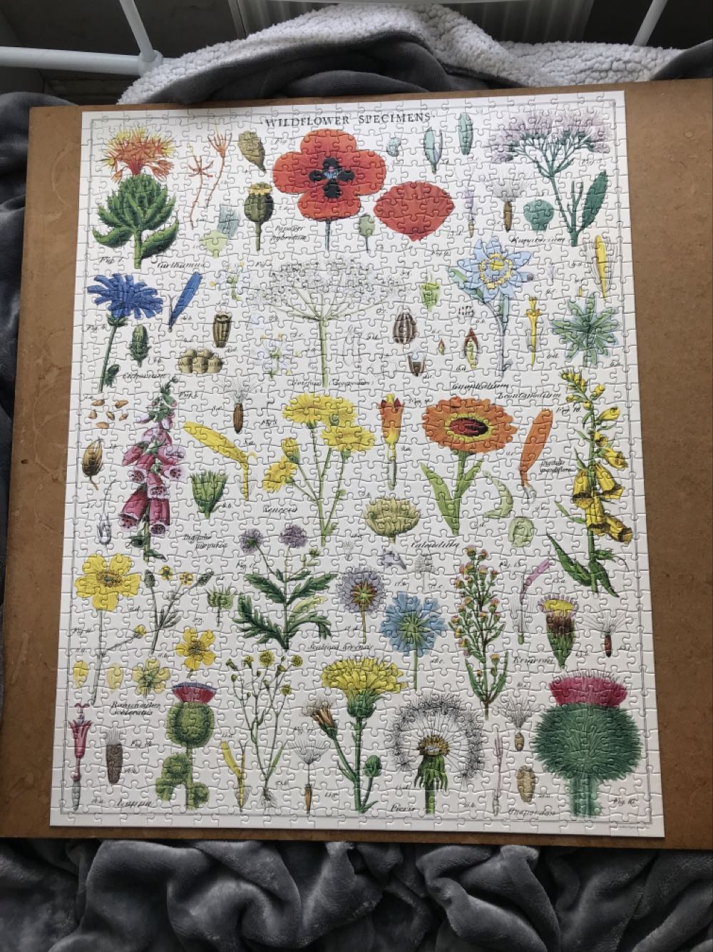 Wildflowers - Cavallini & Co puzzle collectible [Barcode 9781635446616] - Main Image 2
