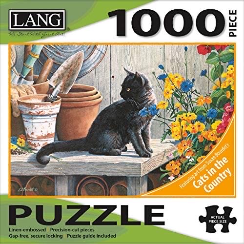 Puppies on the shelf