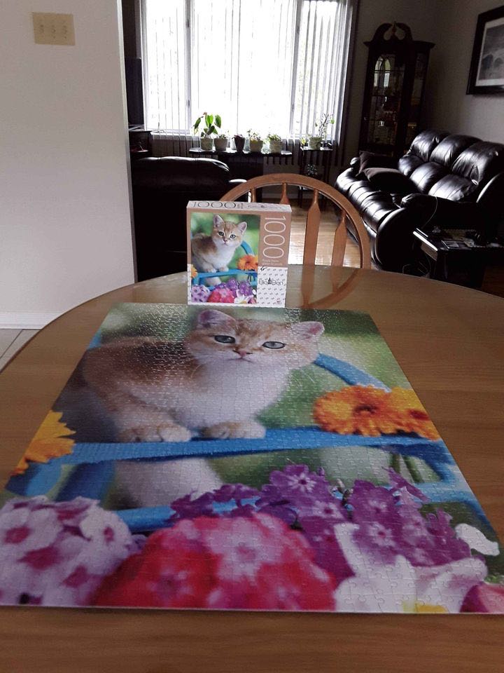 Kitten On Blue Chair - Milton Bradley puzzle collectible [Barcode 778988184929] - Main Image 2