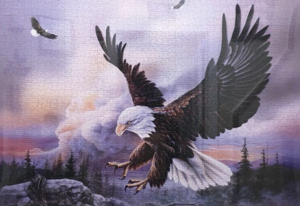 Spacious Skies - SunsOut puzzle collectible - Main Image 3